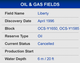 WJM Engineering & Project Management BP Liberty Onshore Arctic Drill Rig